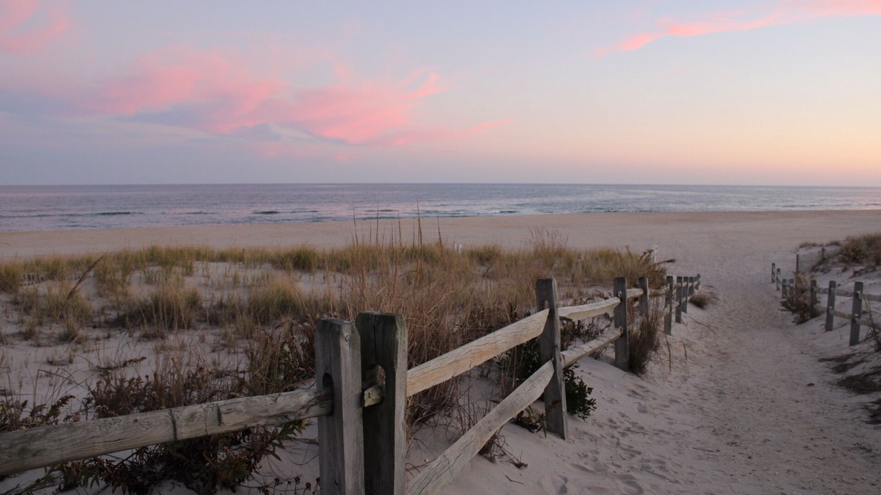 Photo of Others in Surf City