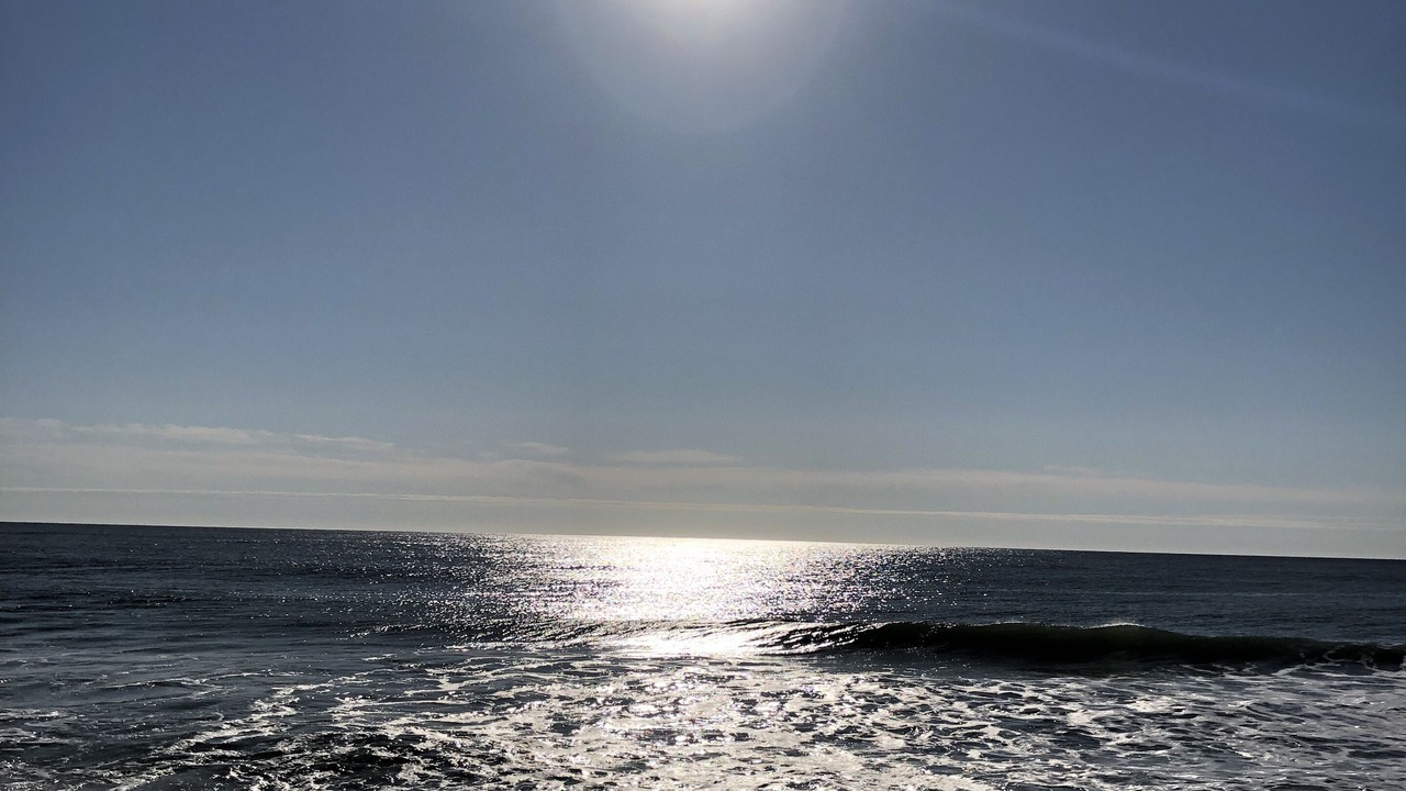 Photo of Others in Lavallette