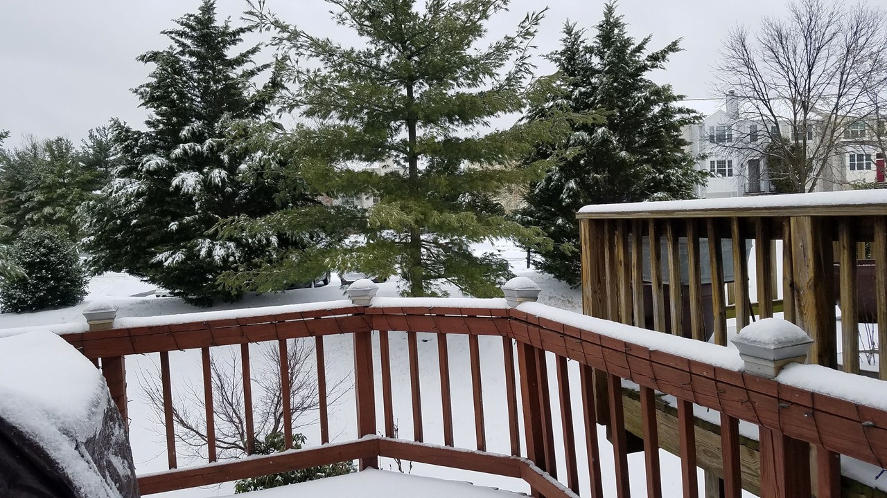 Photo of Outdoor in Fairfax