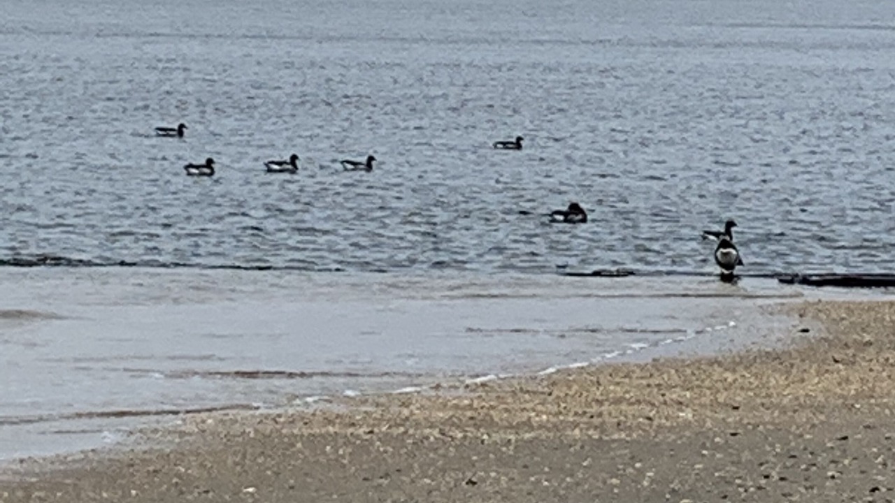 Photo of Others in Highlands