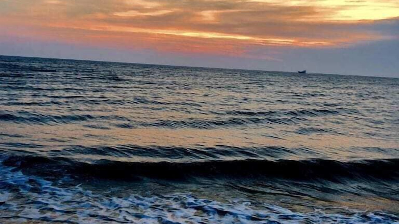 Photo of Others in North Cape May