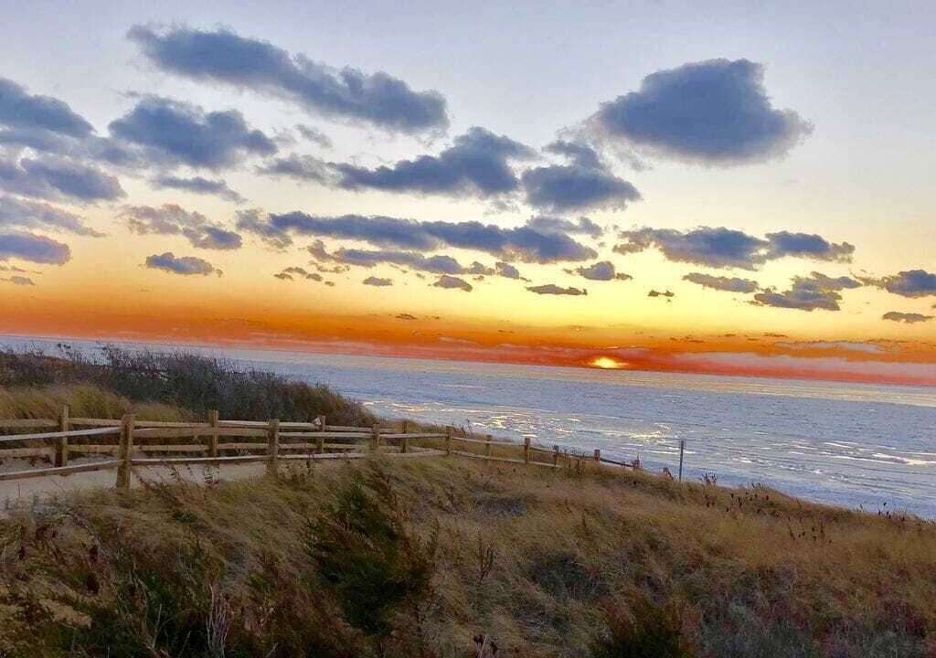 Photo of Others in North Cape May