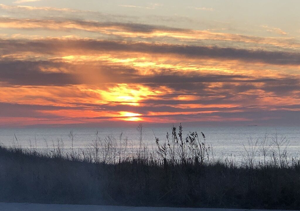 Photo of Others in North Cape May