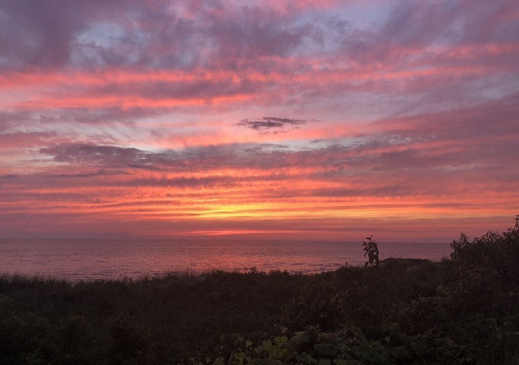 Photo of Others in North Cape May