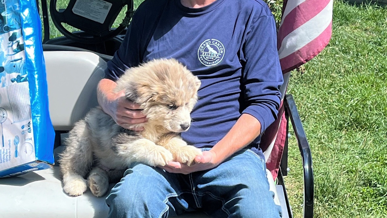 Photo of Others in Abingdon