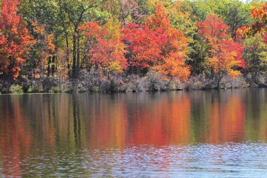 Photo of Outdoor in Tamiment