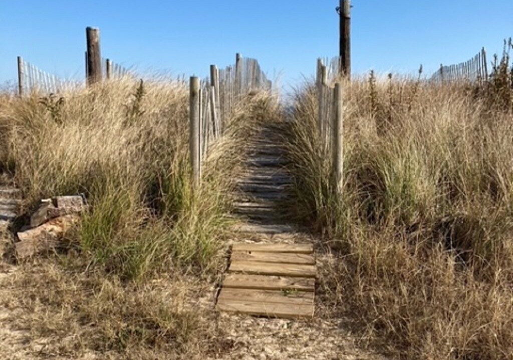 Photo of Outdoor in Prime Hook Beach
