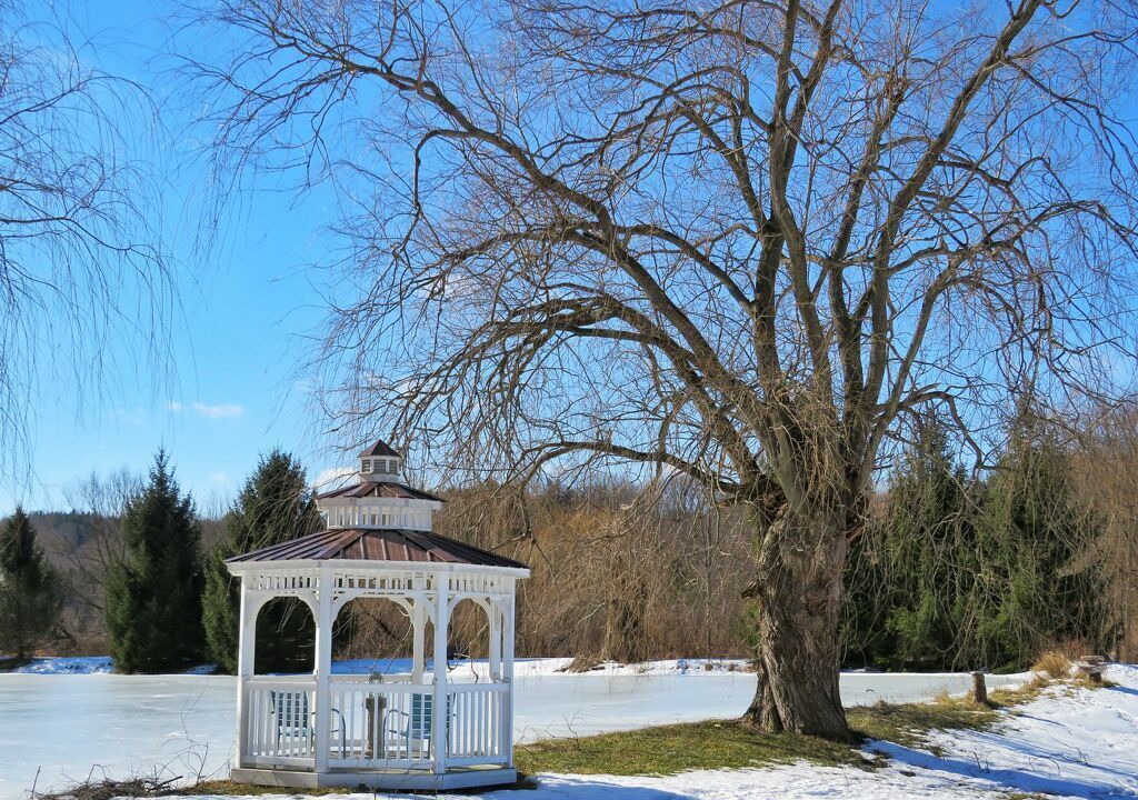 Photo of Outdoor in Mansfield