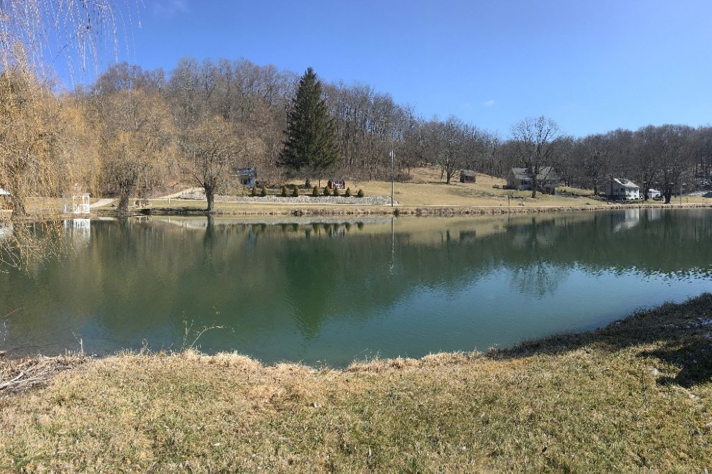 Photo of Others in Mansfield