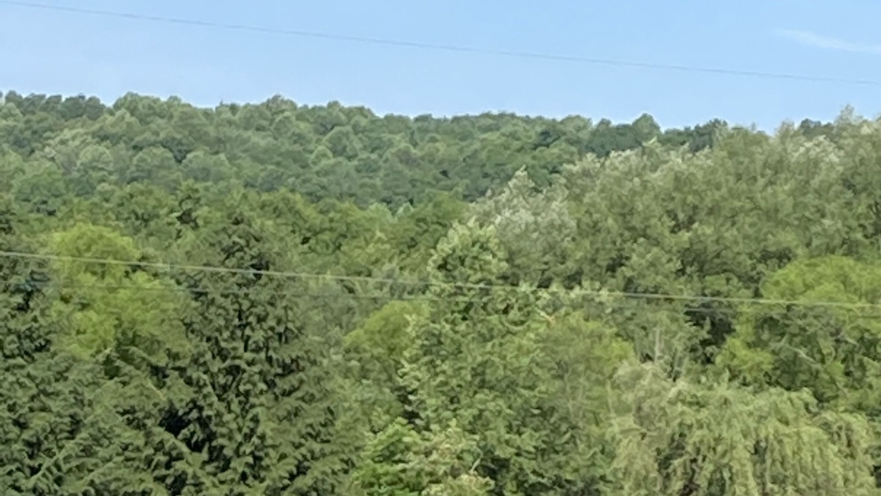 Photo of Outdoor in Mansfield