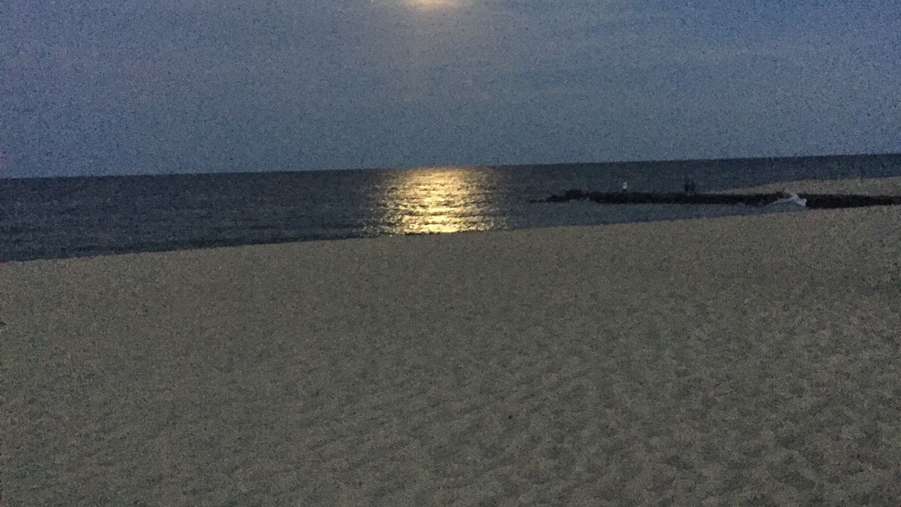 Photo of Others in Manasquan