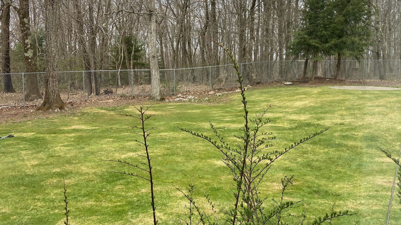 Photo of Outdoor in Wilkes-Barre