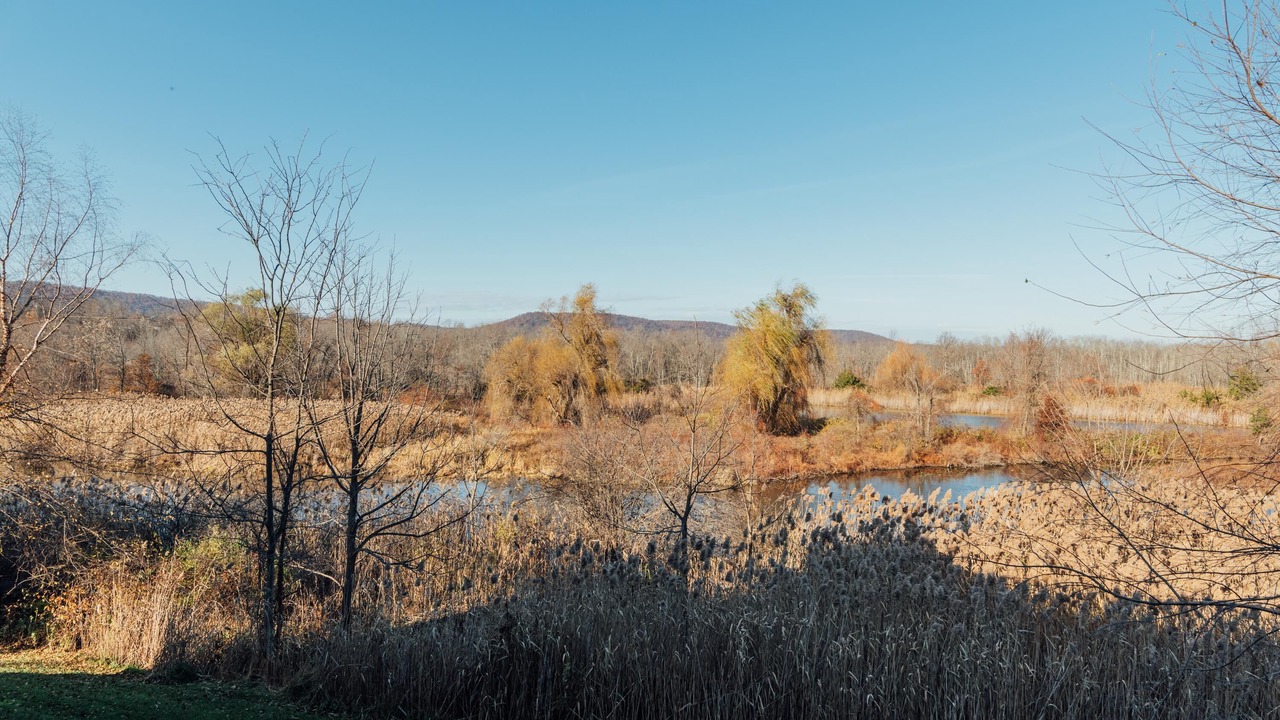 Photo of Outdoor in Vernon
