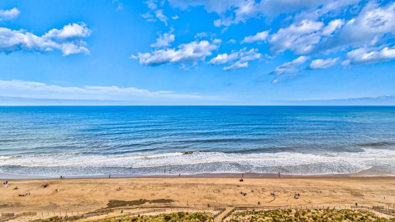 Photo of Others in North Ocean City