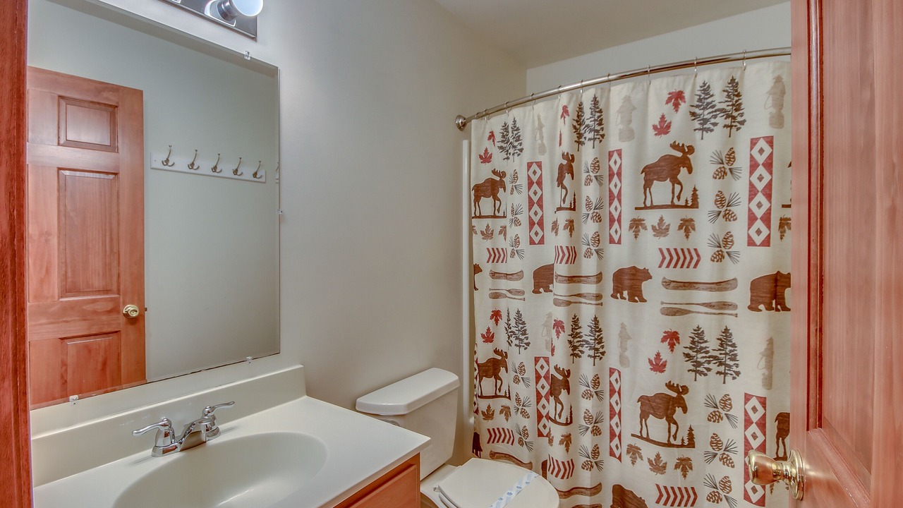 Photo of Bathroom in Lake Harmony