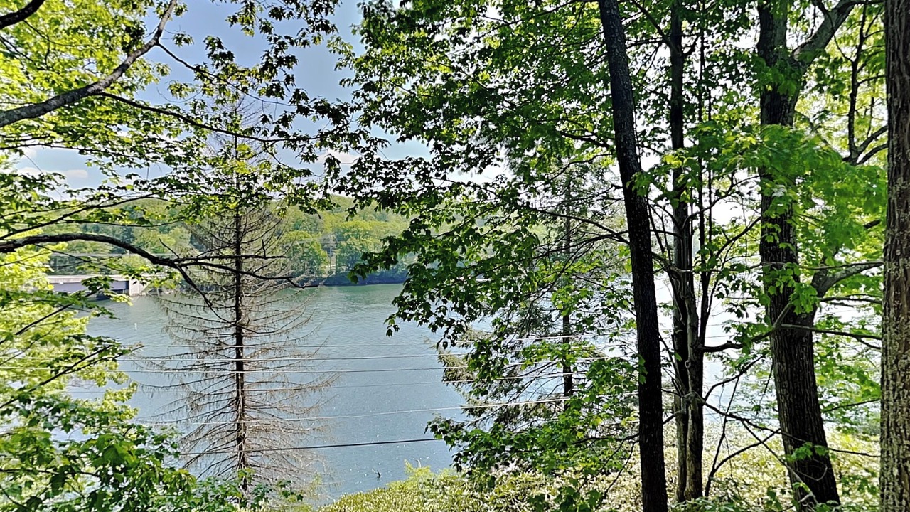 Photo of Outdoor in Crellin