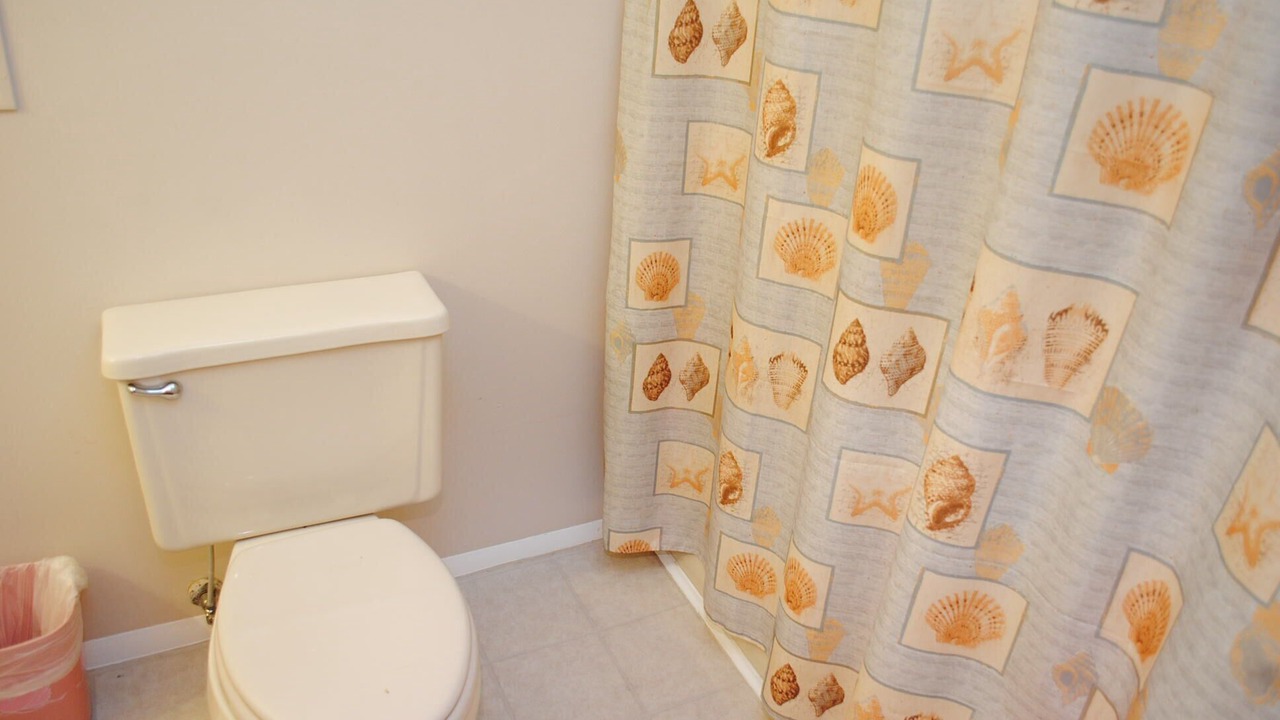 Photo of Bathroom in Caine Woods
