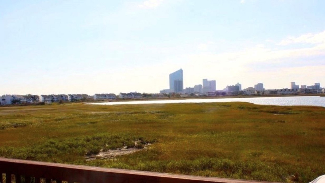 Photo of Outdoor in Southend