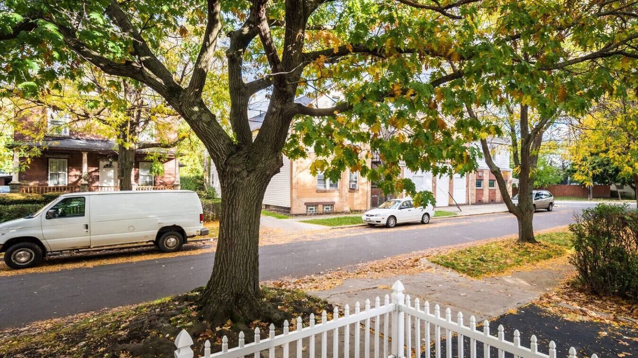 Photo of Outdoor in Lakewood