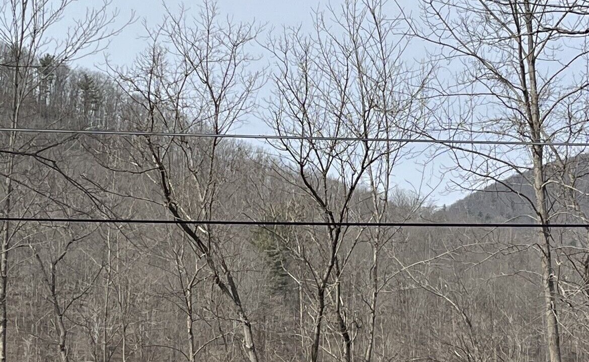 Photo of Others in Wellsboro