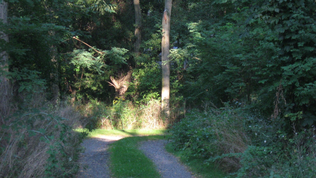 Photo of Others in Keuka Park