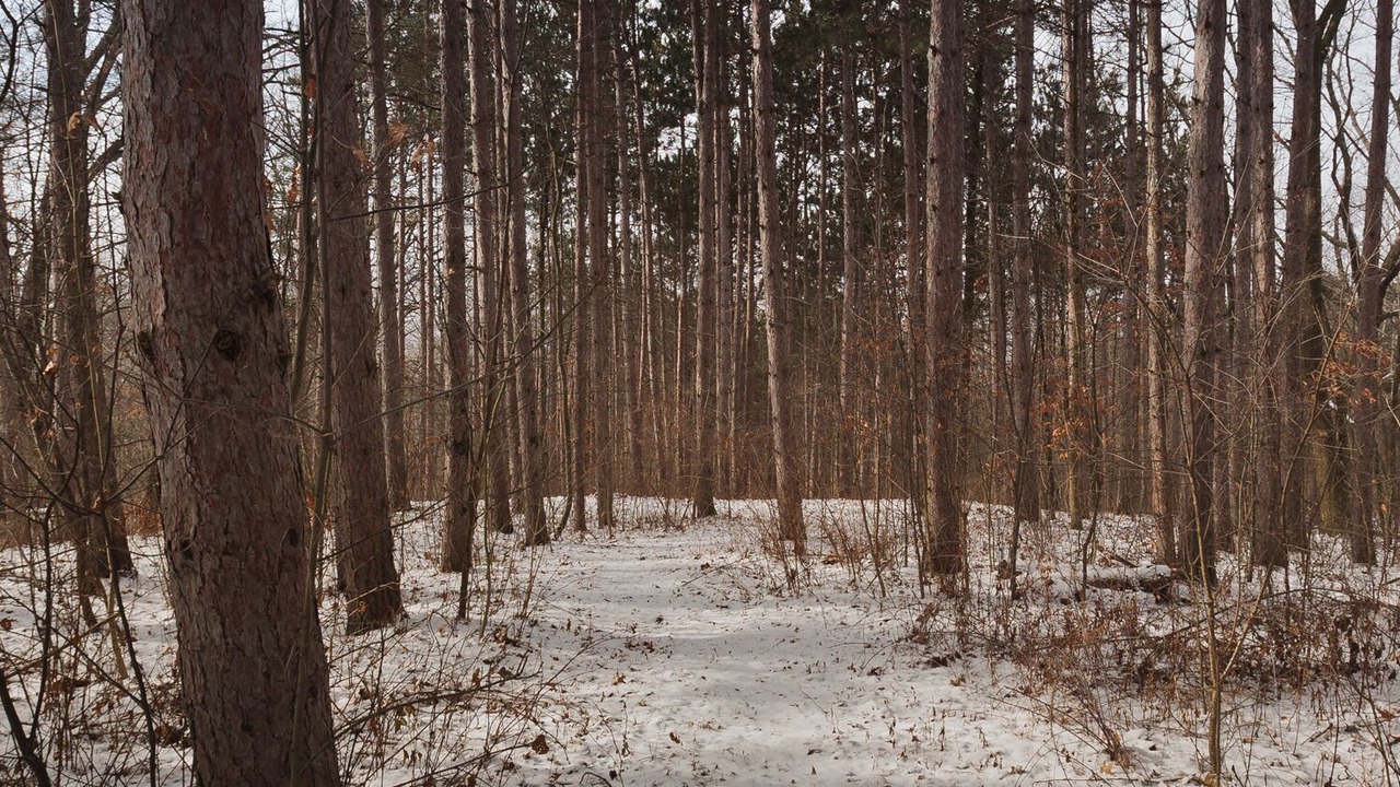 Photo of Others in Keuka Park