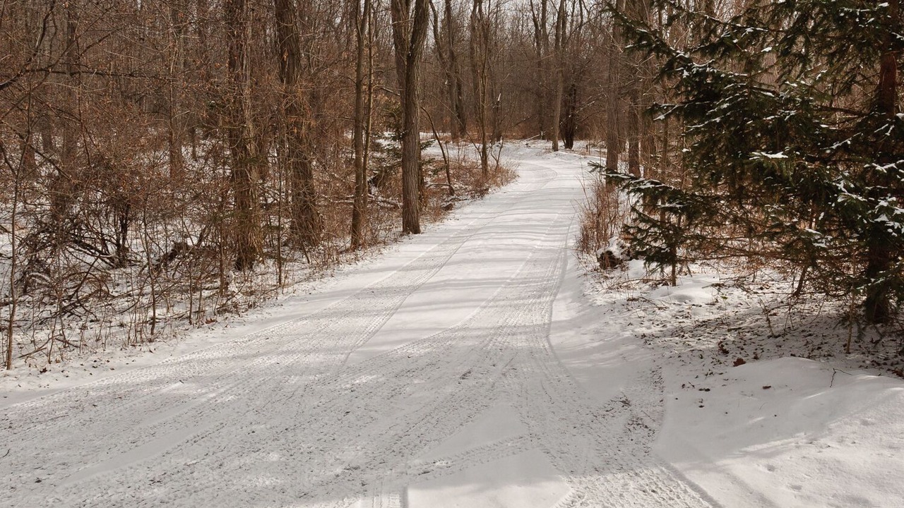 Photo of Others in Keuka Park