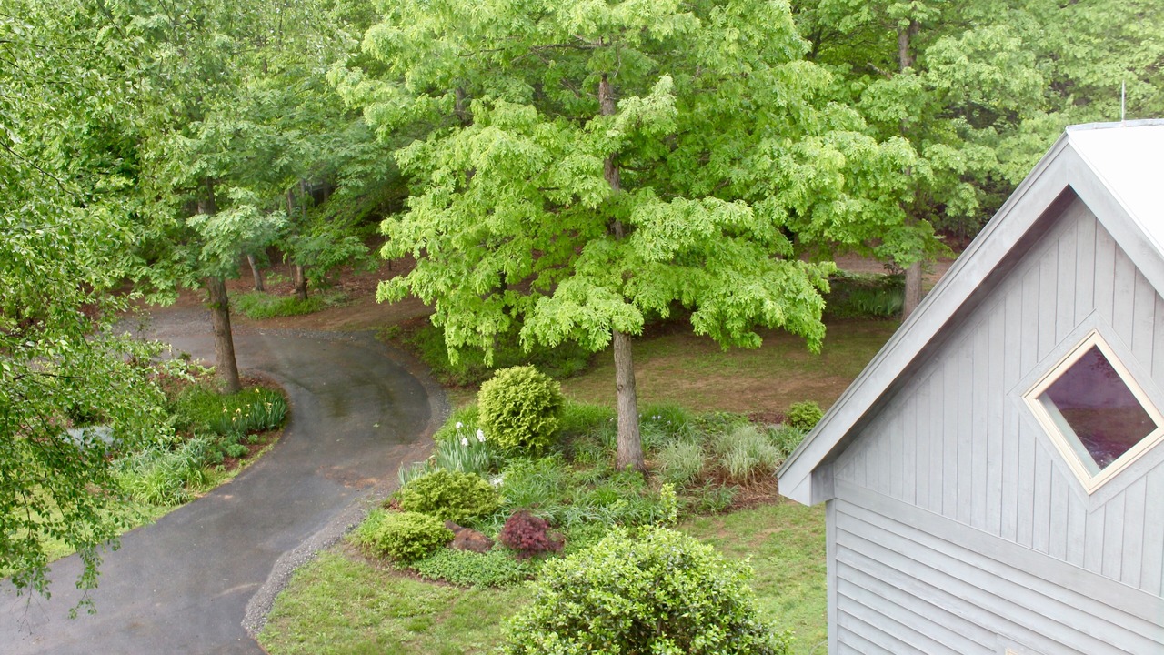 Photo of Others in Barboursville