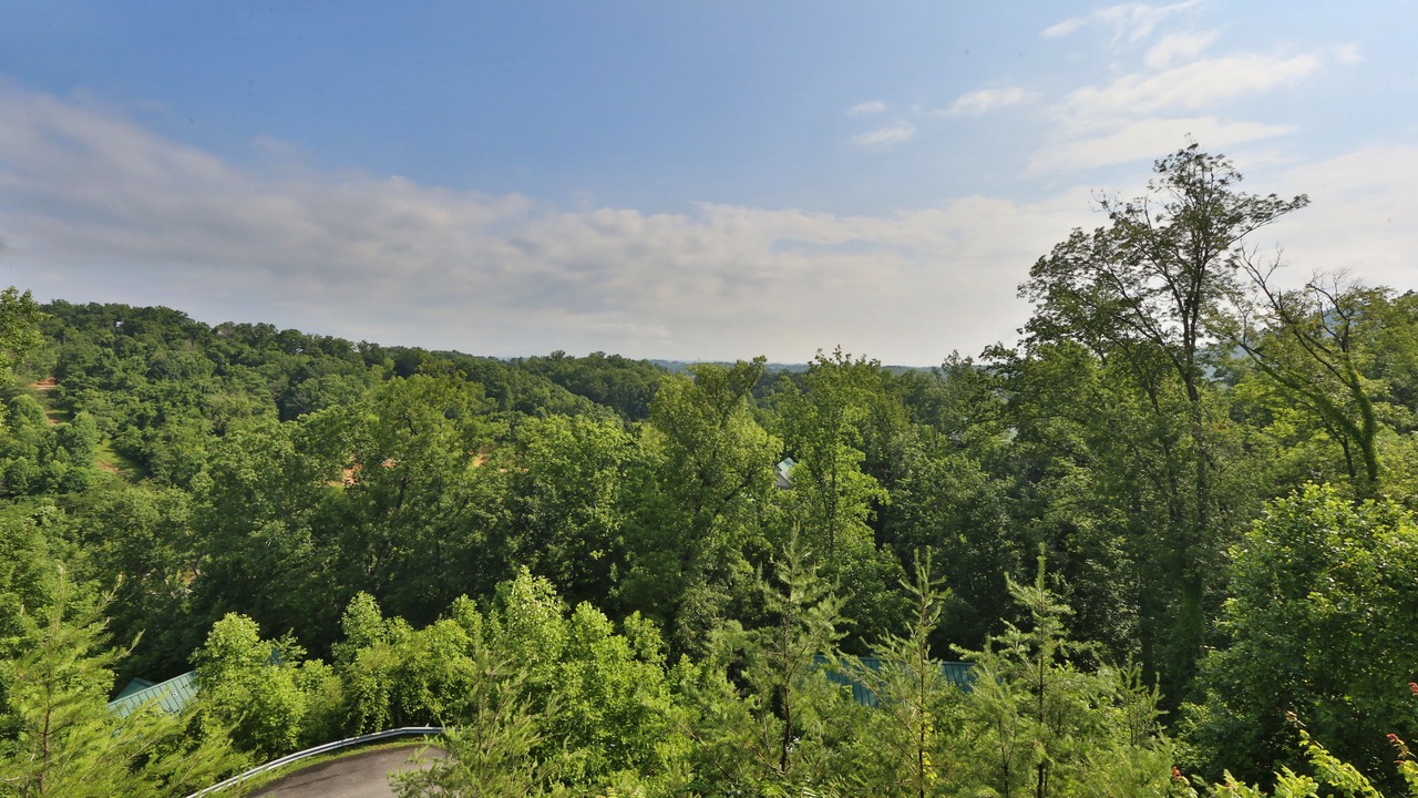Photo of Others in Pigeon Forge