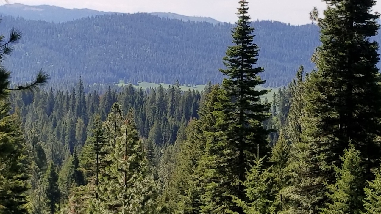 Photo of Others in Cascade