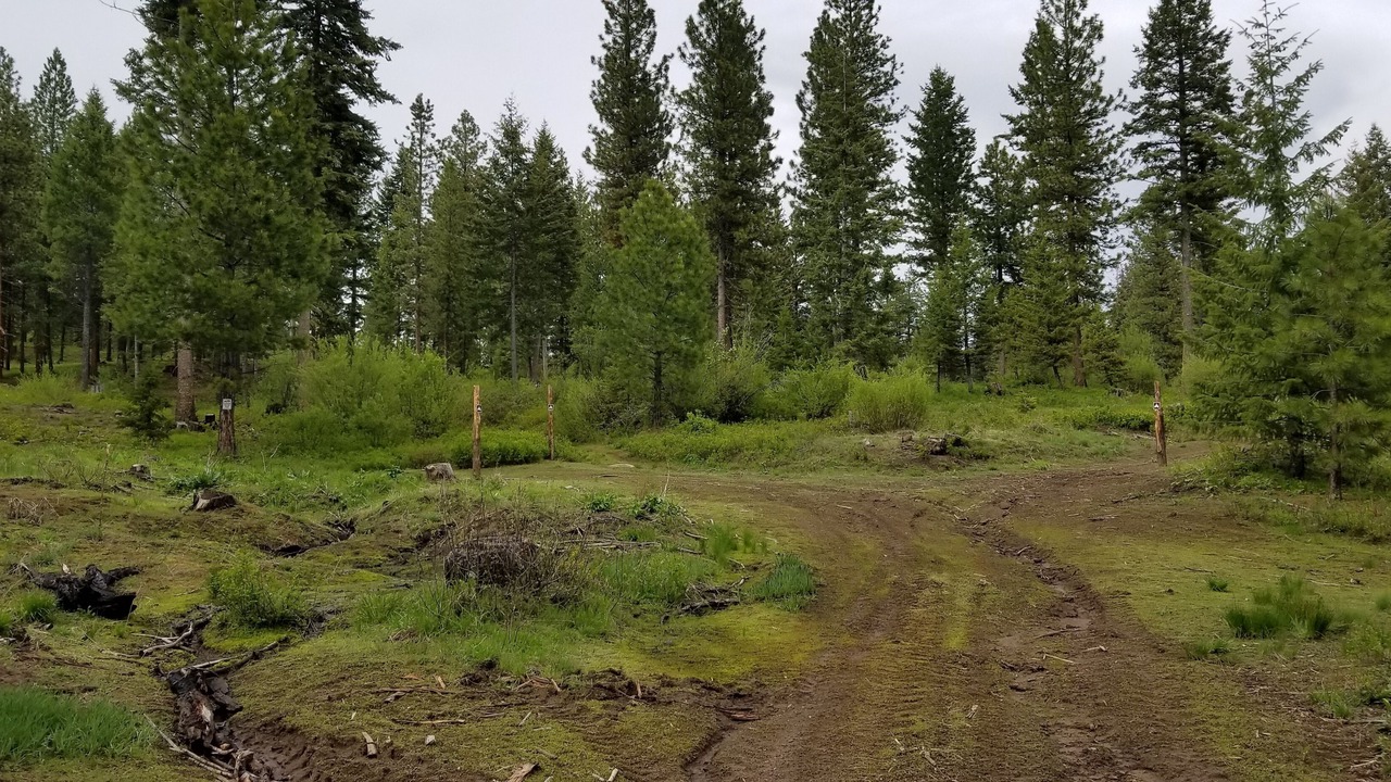 Photo of Others in Cascade