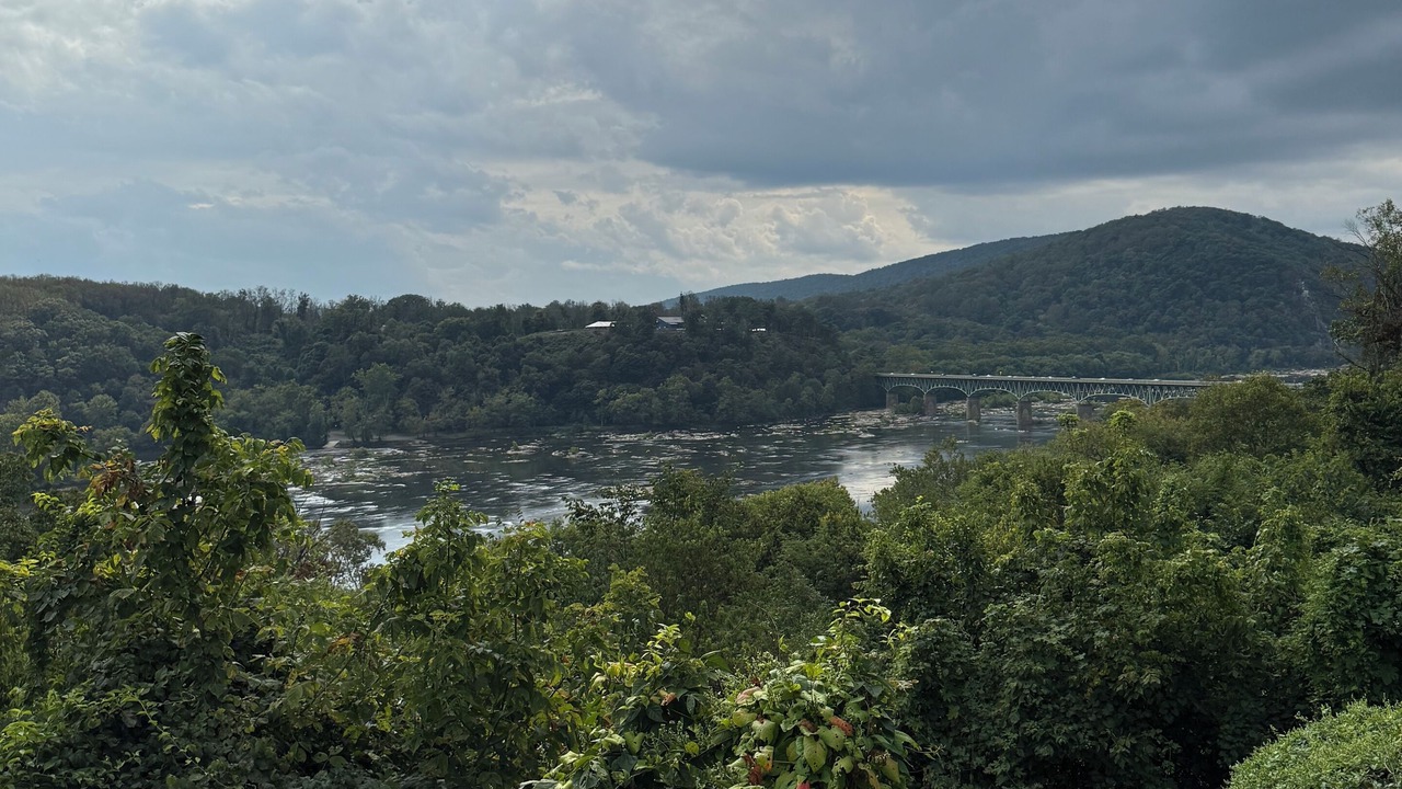Photo of Others in Knoxville