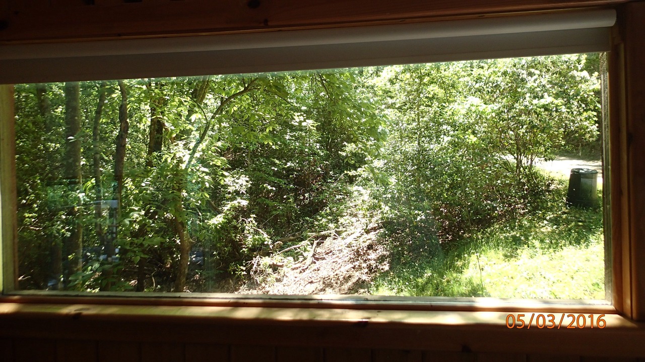 Photo of Bedroom in Easley