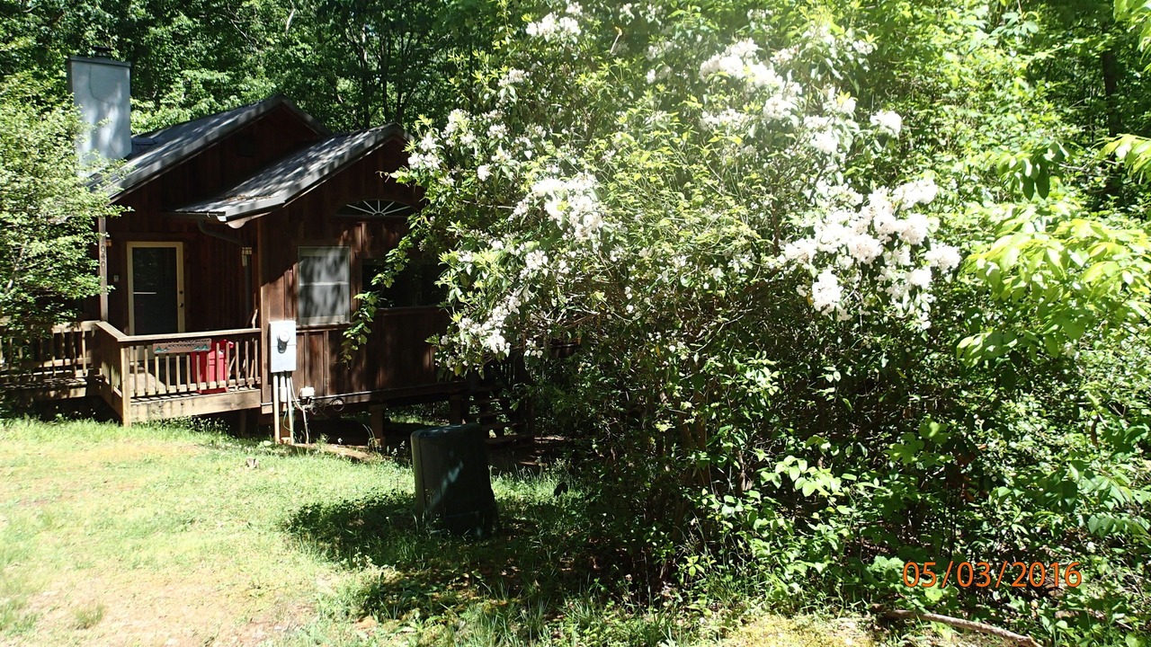 Photo of Outdoor in Easley