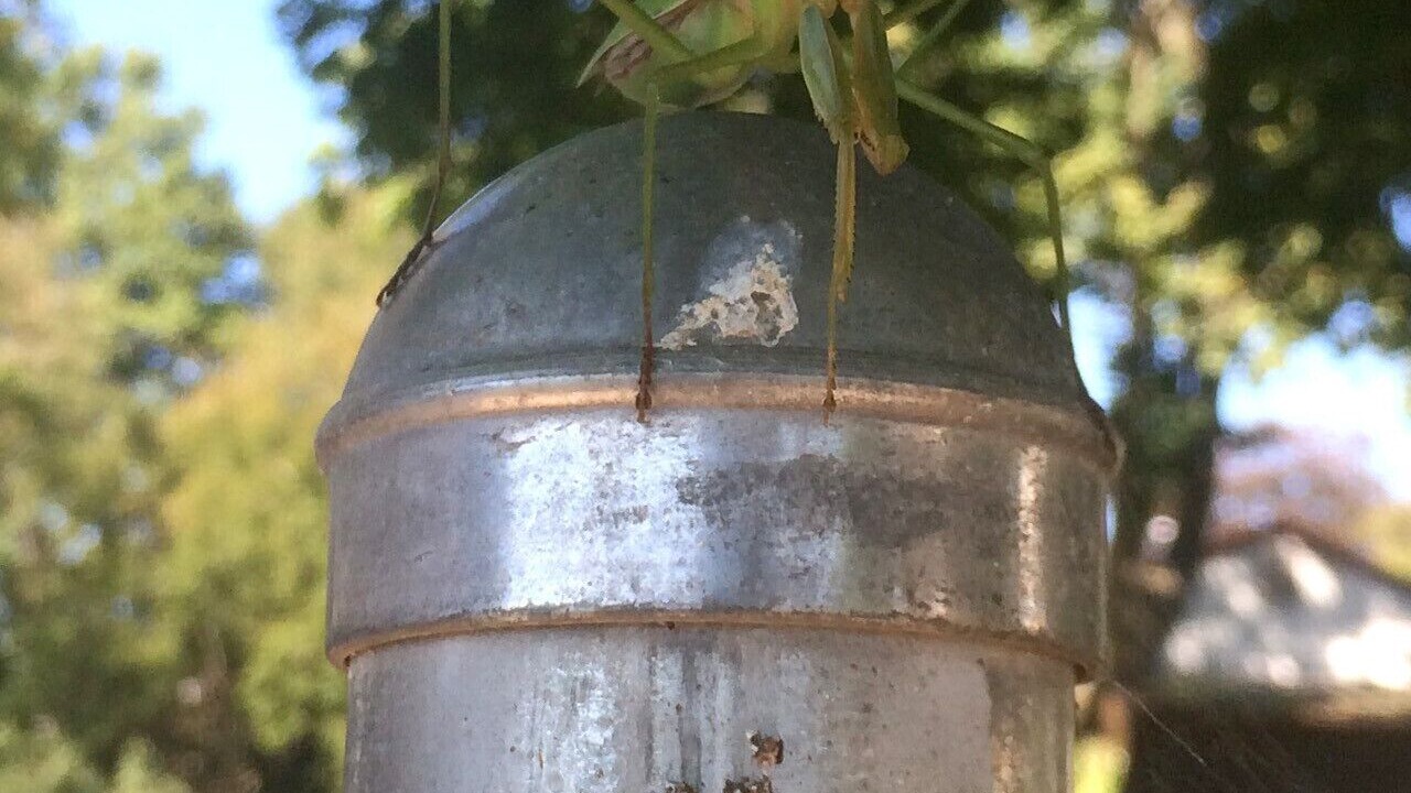 Photo of Others in Reinholds