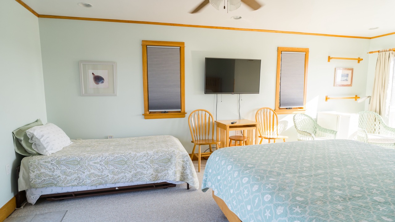 Photo of Outdoor in Broadkill Beach