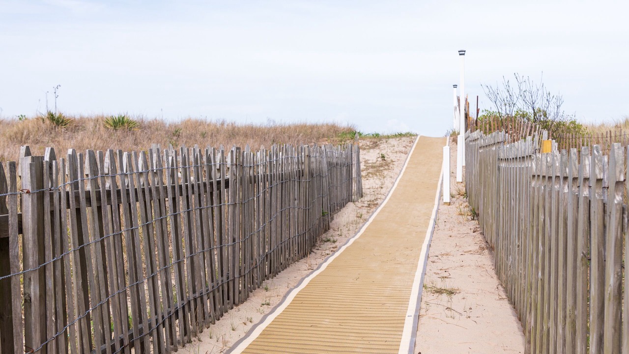 Photo of Others in Broadkill Beach