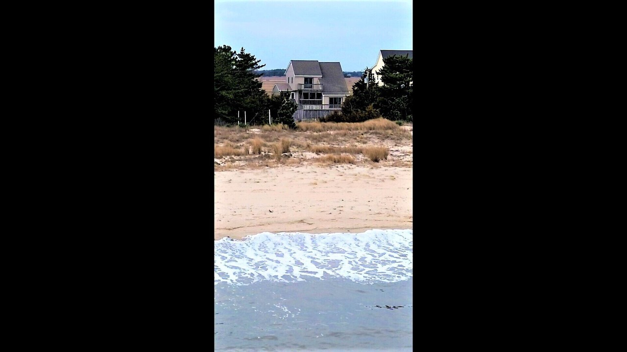Photo of Others in Broadkill Beach