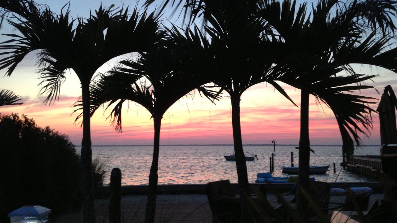 Photo of Outdoor in North Beach Haven