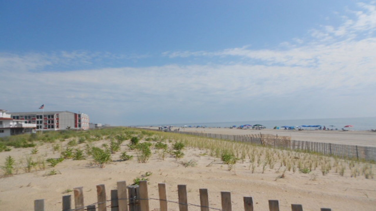 Photo of Others in Dewey Beach