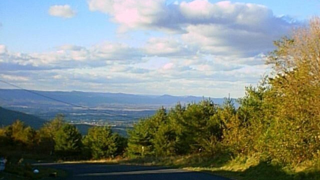 Photo of Others in Stanley