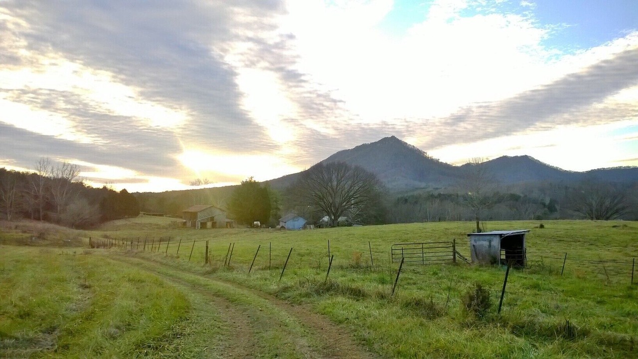 Photo of Outdoor in Rogersville