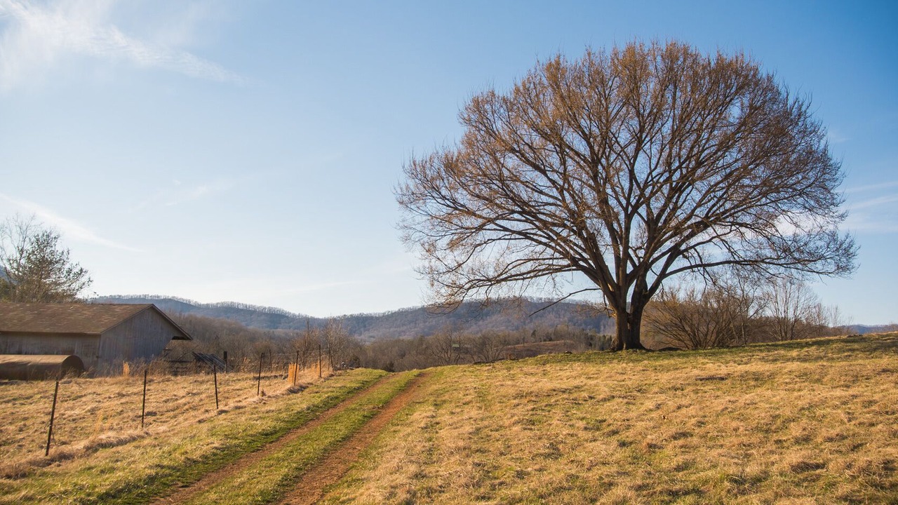 Photo of Outdoor in Rogersville