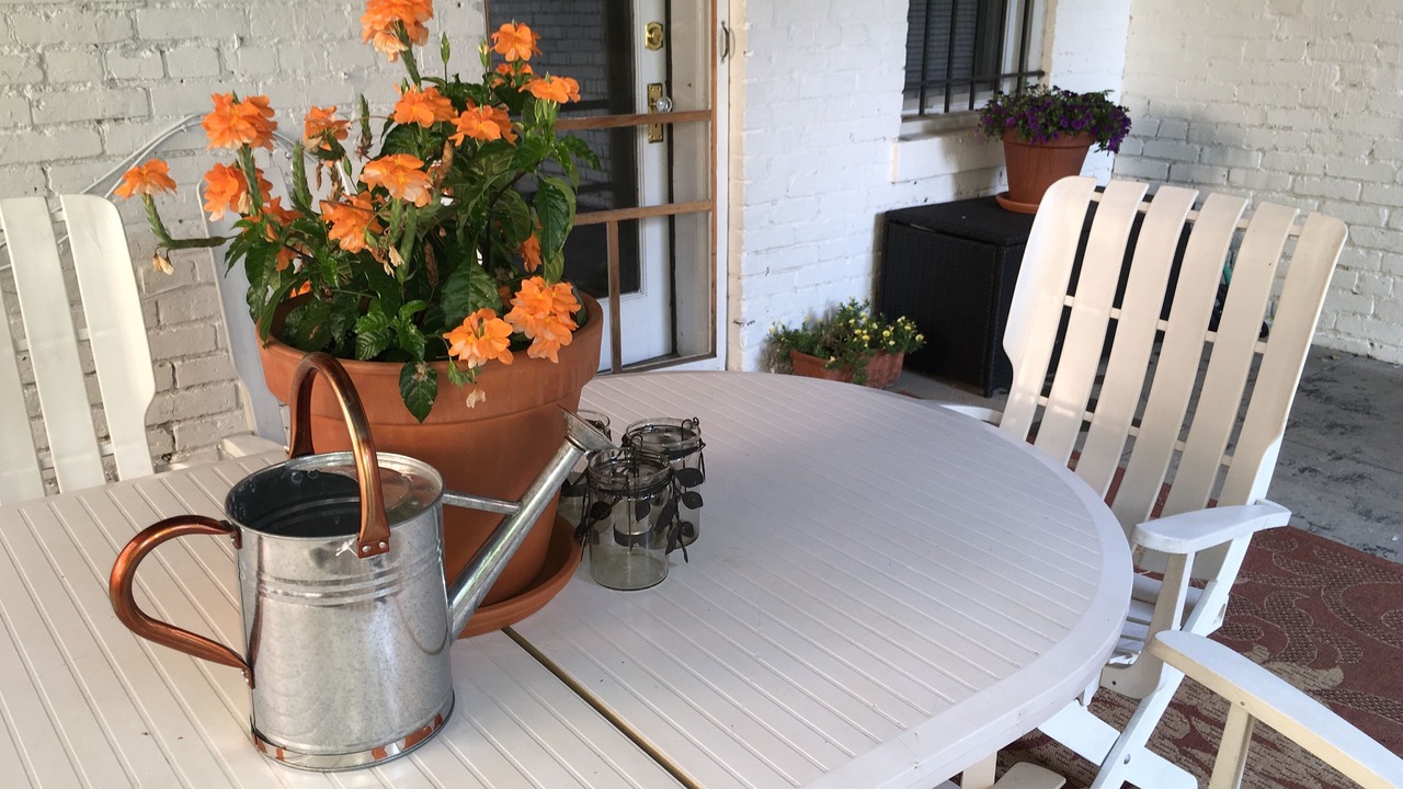 Photo of Outdoor in Mount Pleasant