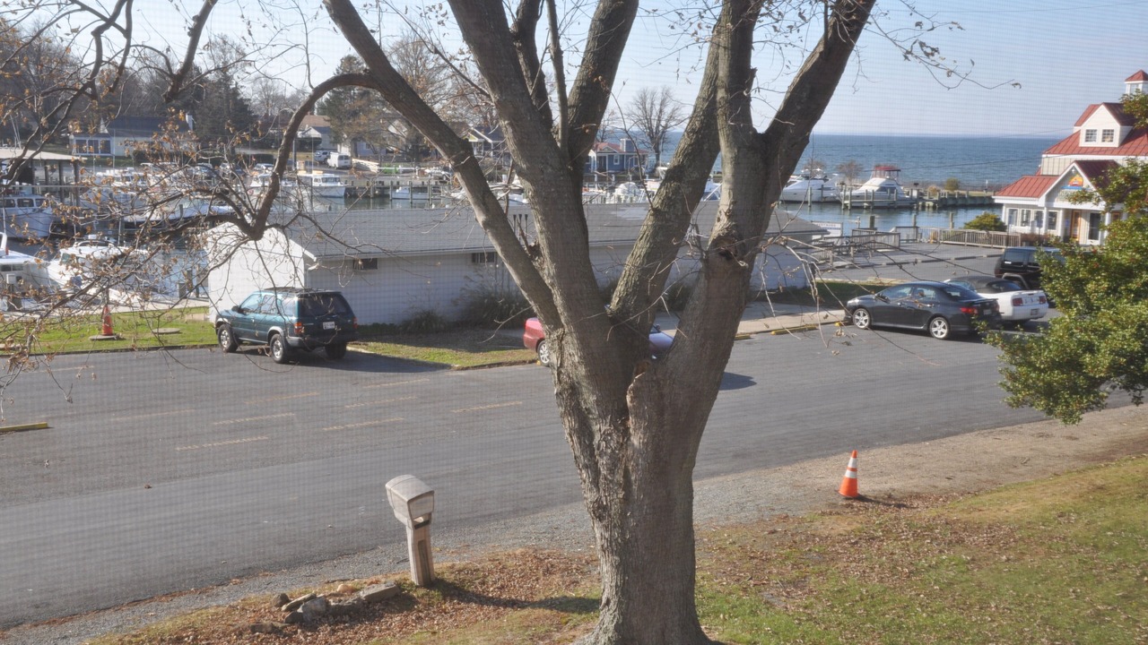 Photo of Outdoor in Stevensville