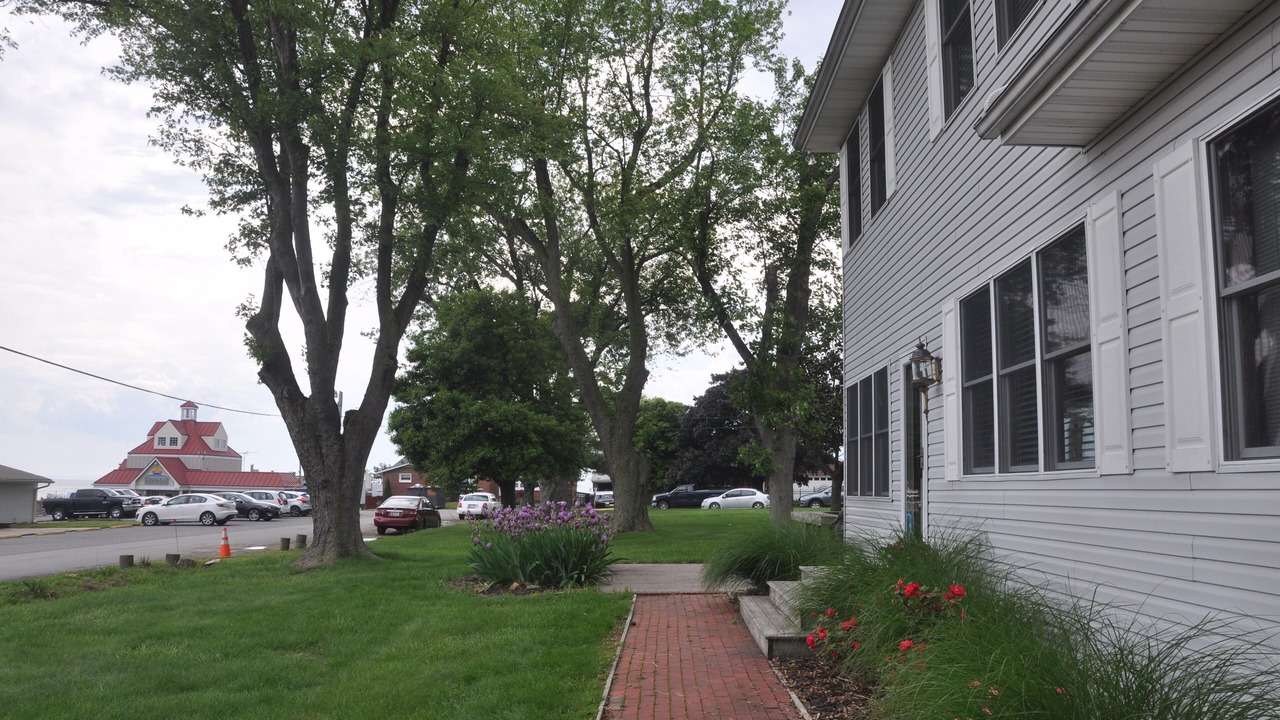 Photo of Others in Stevensville