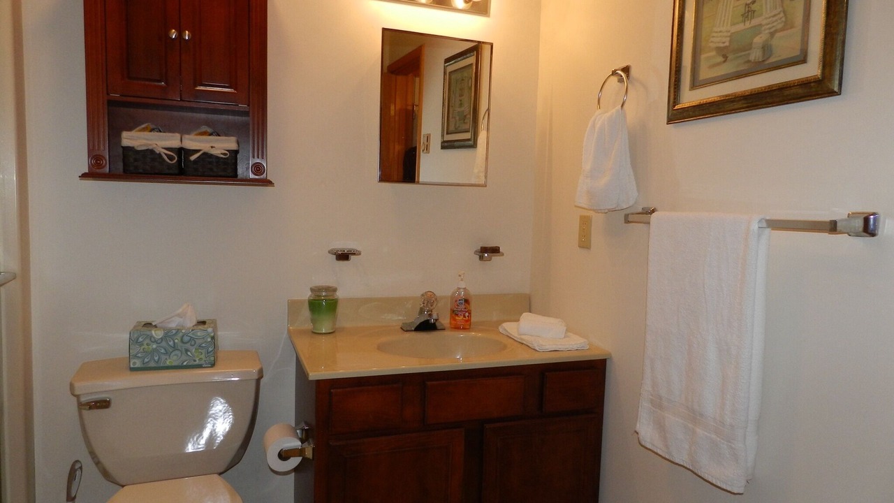 Photo of Bathroom in Bushkill