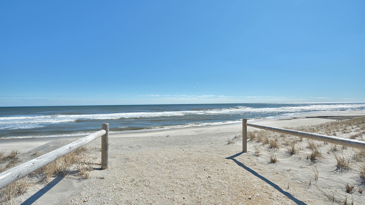 Photo of Others in Harvey Cedars