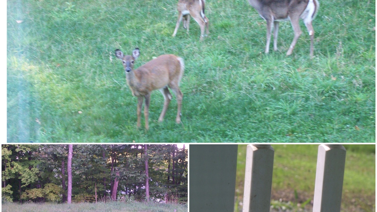 Photo of Others in Pine Bush