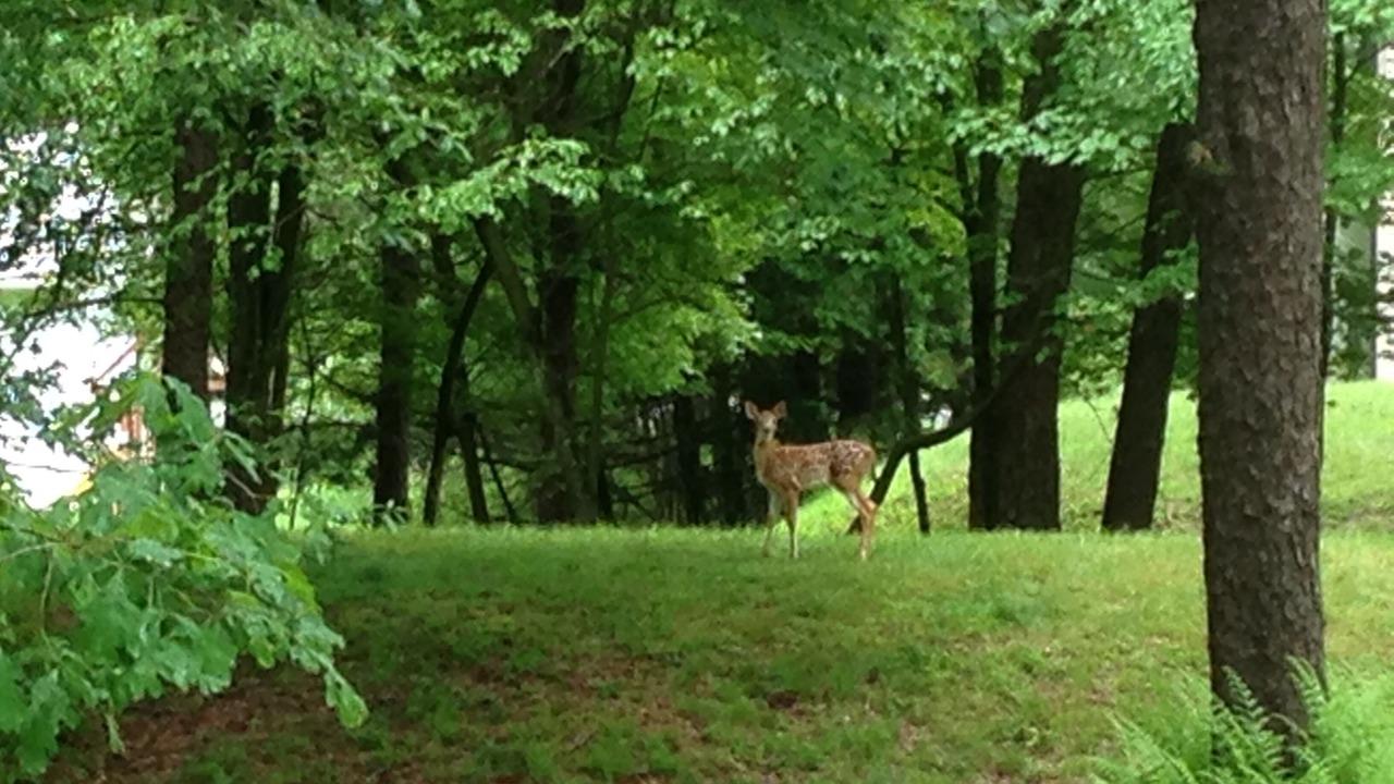 Photo of Others in Albrightsville